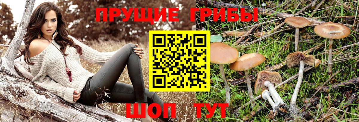 Псилоцибиновые грибы Magic Shrooms Лесной