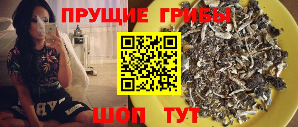 где найти наркотики  Галлюциногенные грибы MAGIC MUSHROOMS  Вход с VPN  Лесной 